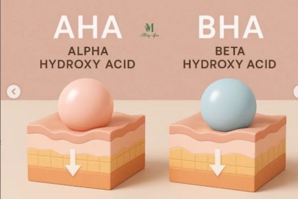 So sánh AHA và BHA trong điều trị mụn và tái tạo da